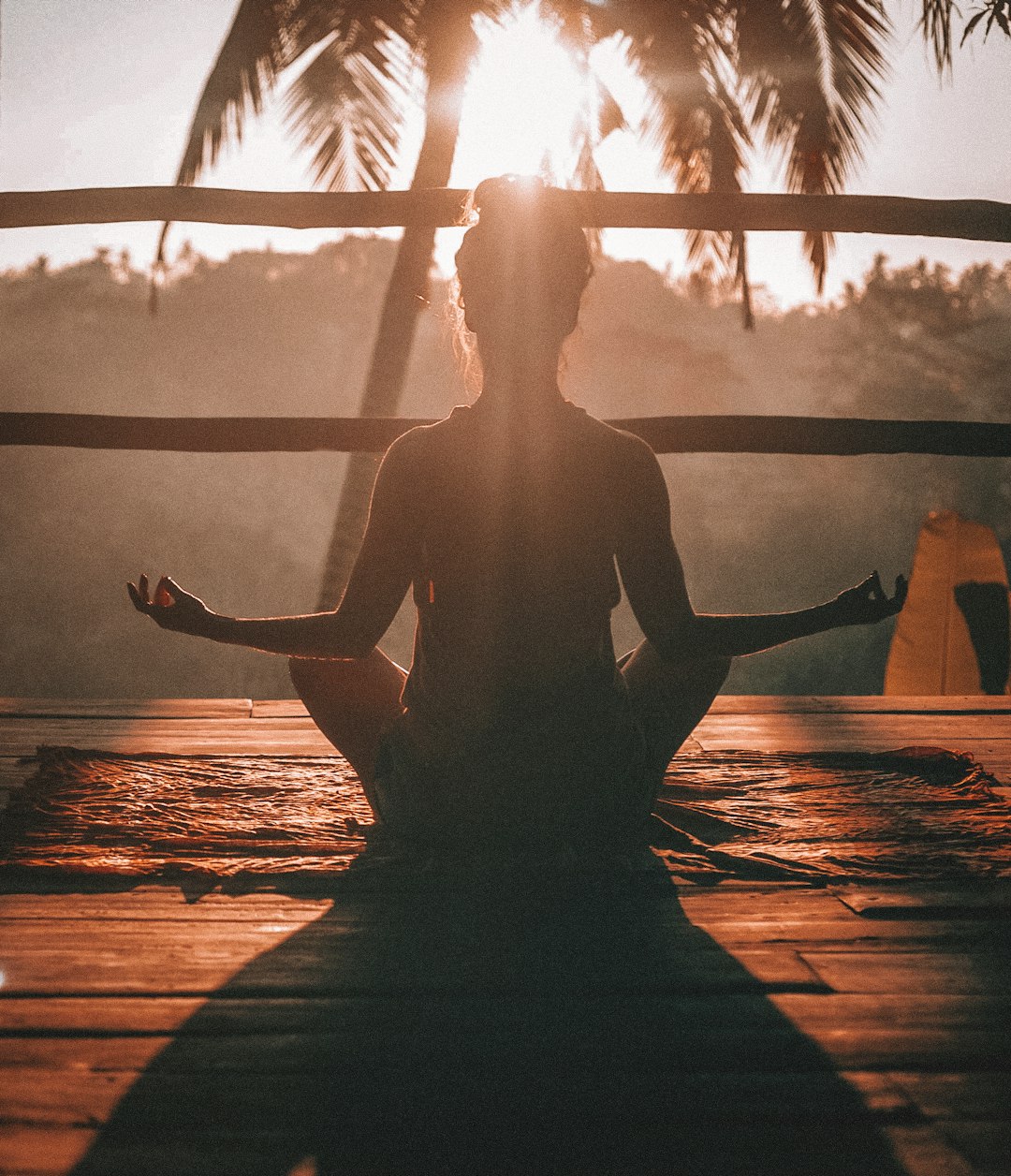 Circadian Rhythms